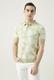  -  | Damat Tween